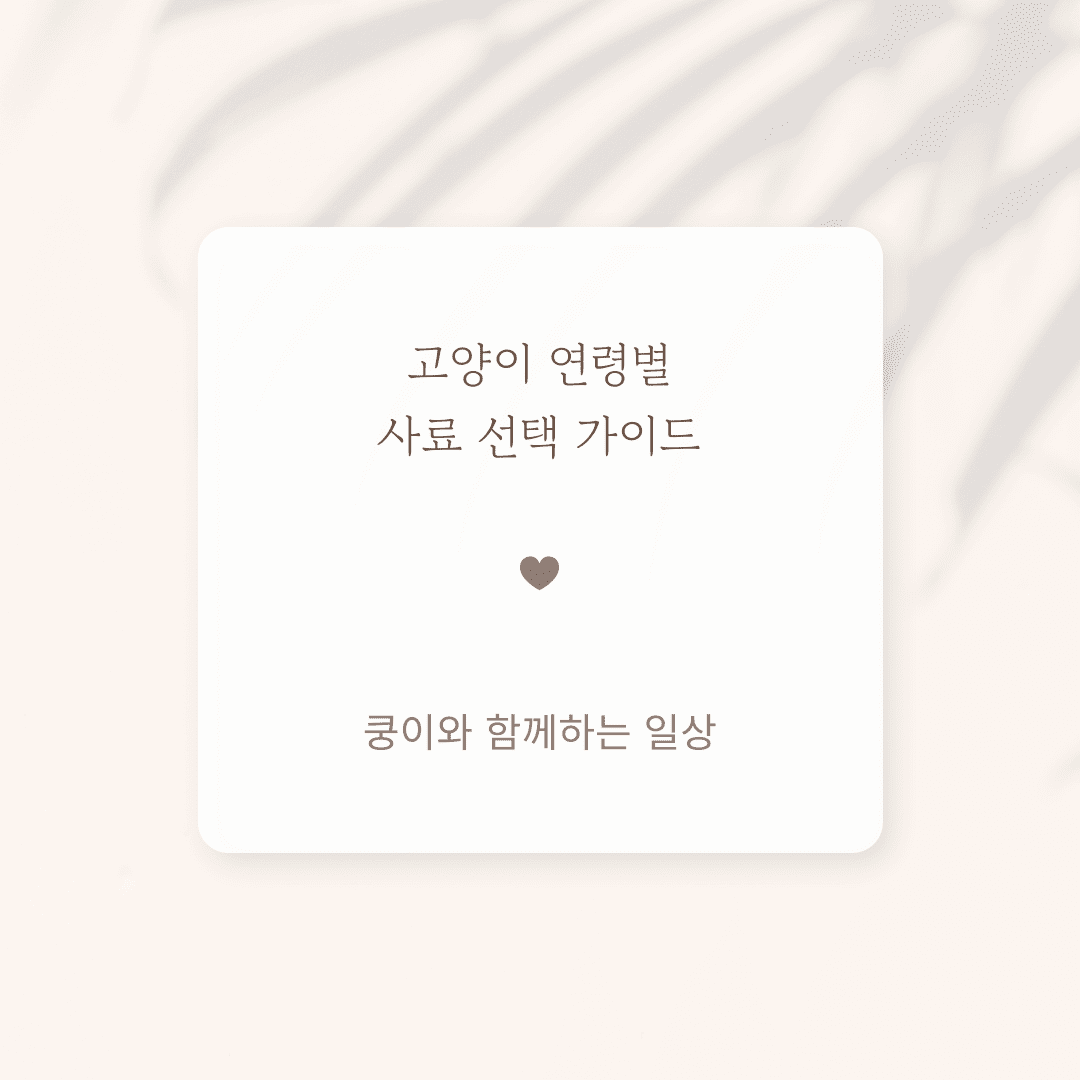 고양이 연령별 사료 선택 가이드