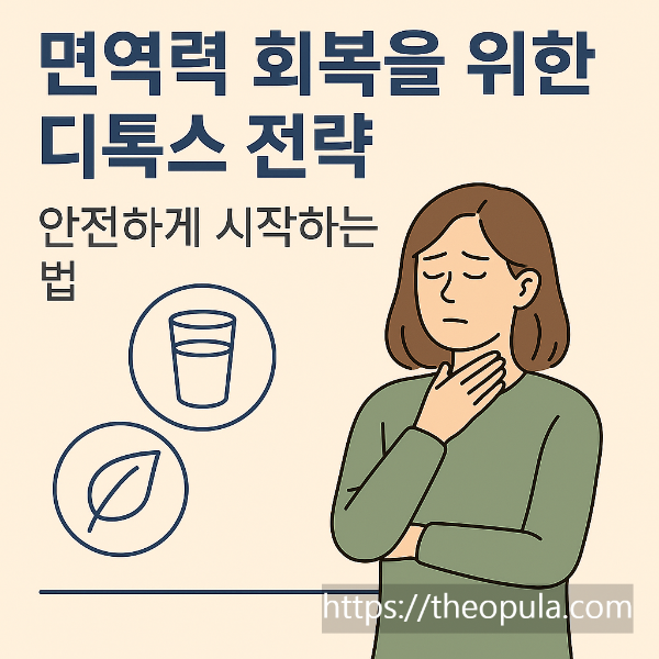 면역력 회복을 위한 디톡스 전략 안전하게 시작하는 법
