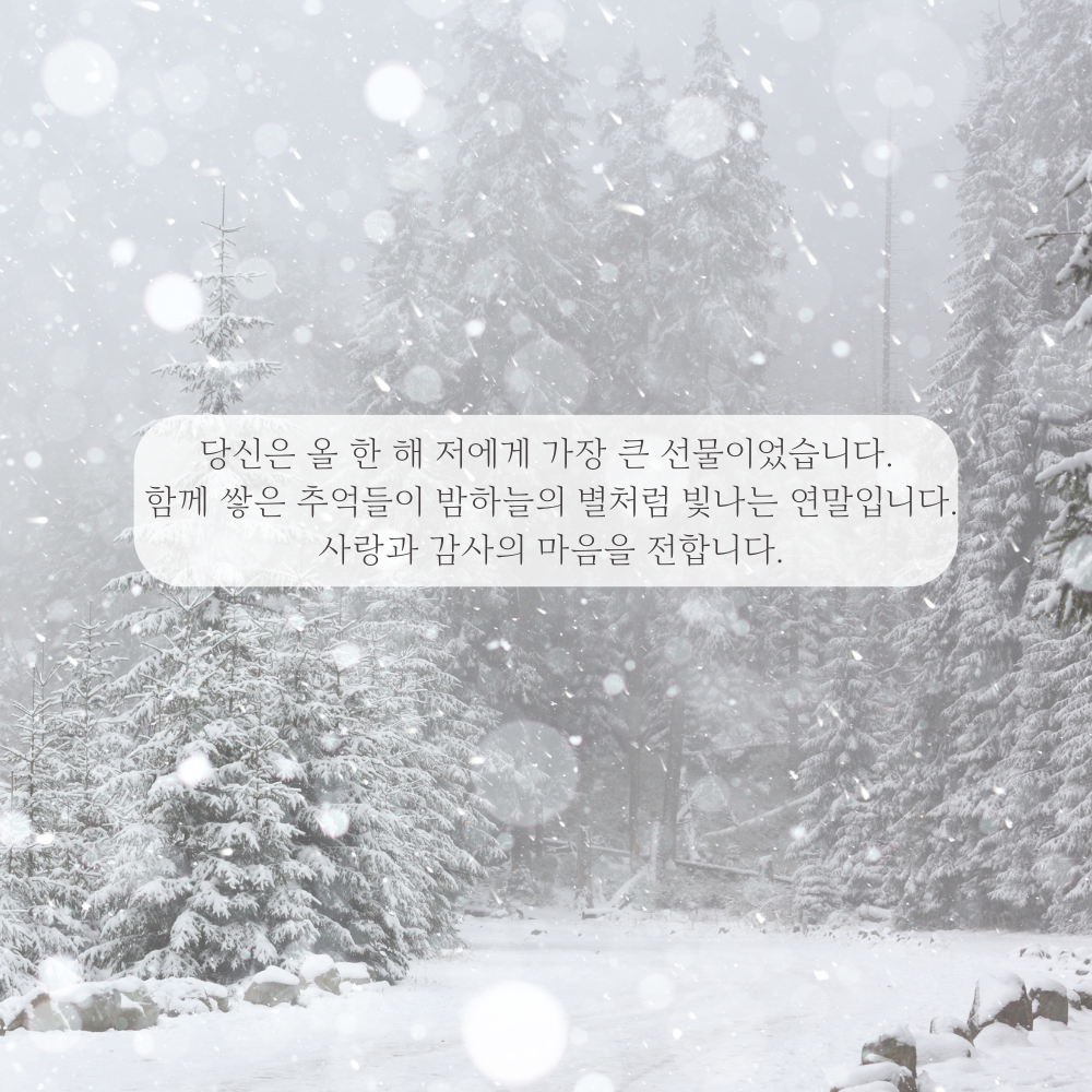 2025년 12월 인사말 문구 이미지 모음집