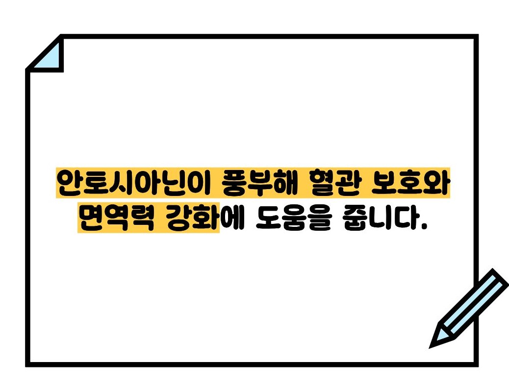서리태 효능