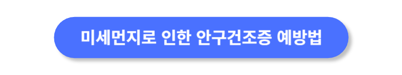 버튼