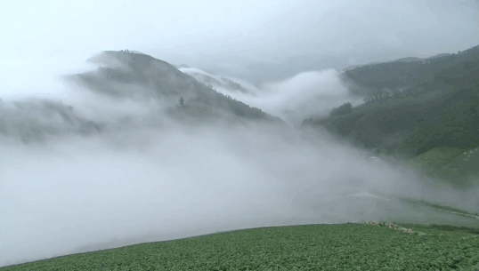 절임배추 추천 Best 3