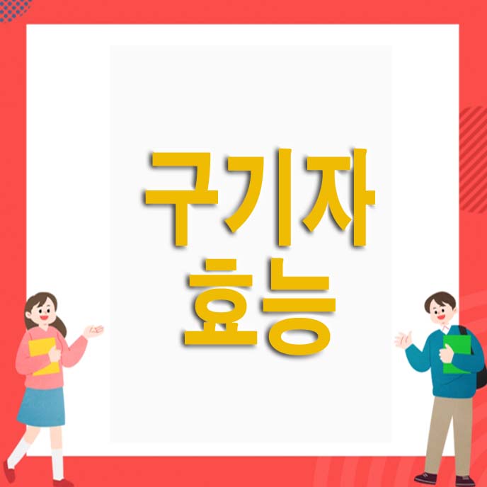 구기자 효능