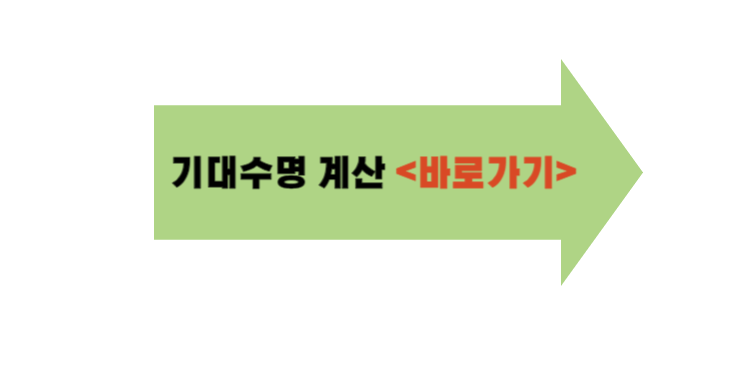 기대 수명