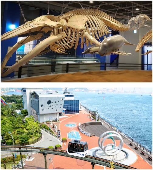 장생포 고래박물관과 모노레일 전경