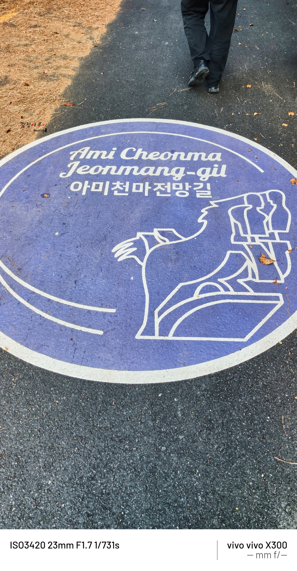 아미천마전망길 천마산복합전망대 올라가는 포장도로