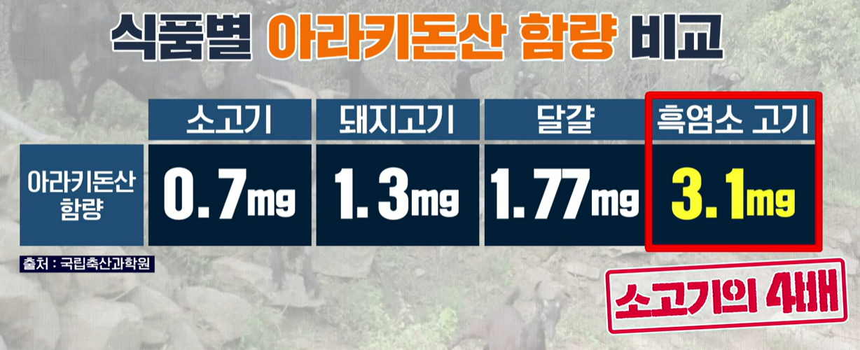 흑염소 진액 효능