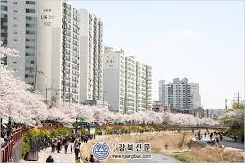 도봉벚꽃축제 기본일정과 프로그램 그리고 초대가수 소개(부활 김희재 노브레인 출연)