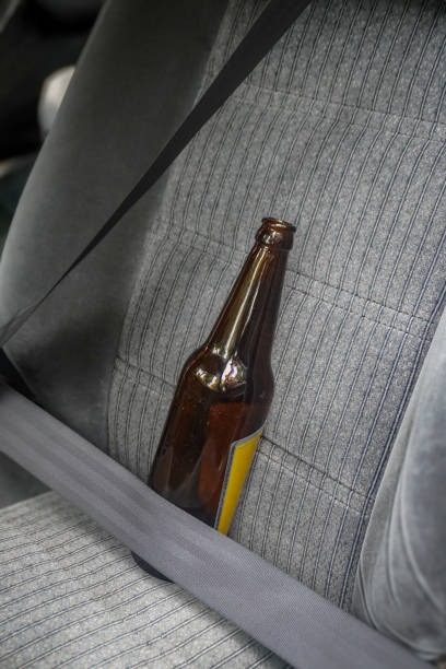 광복절-특별사면-음주-운전면허