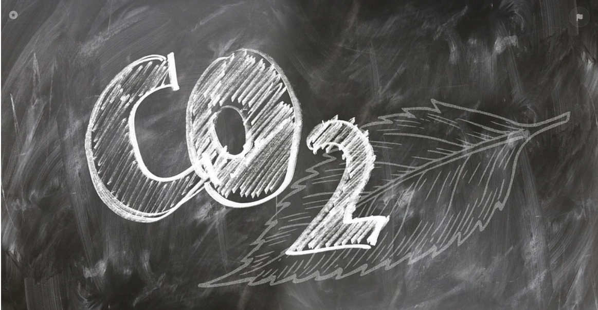 독일의 탄소세, 기업들은 어떻게 대응하고 있을까?