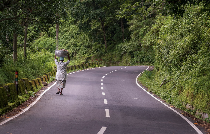 노인 대상 문화·여가 활동 추천 리스트