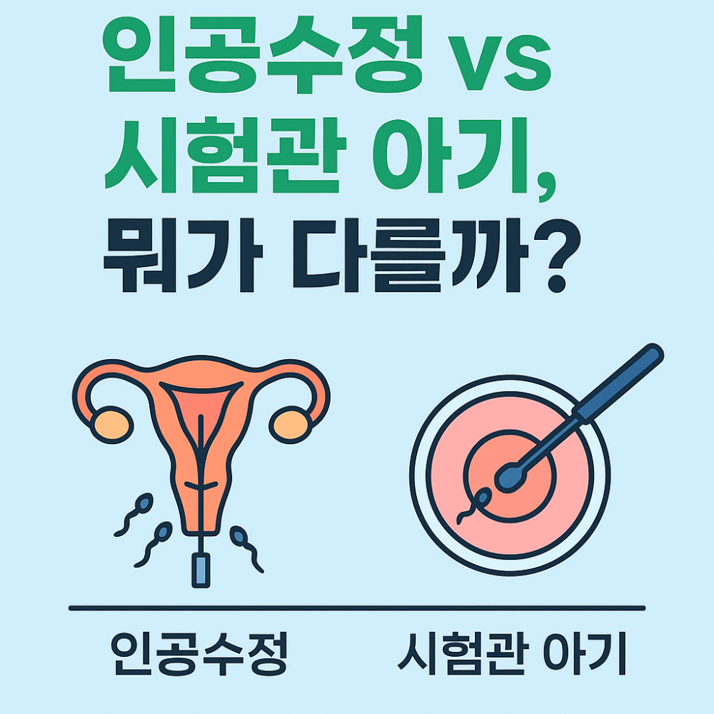 인공수정 vs 시험관 아기, 뭐가 다를까? 사진