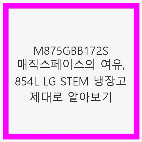 LG 디오스 오브제컬렉션 STEM 베이직 냉장고 854L 2등급