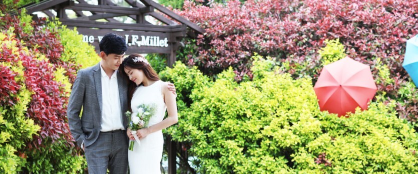 청산수목원 테마 정원으로 떠나는 태안 여행