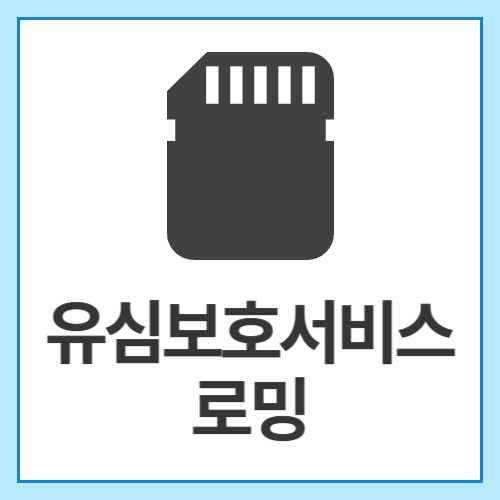 유심보호서비스-로밍