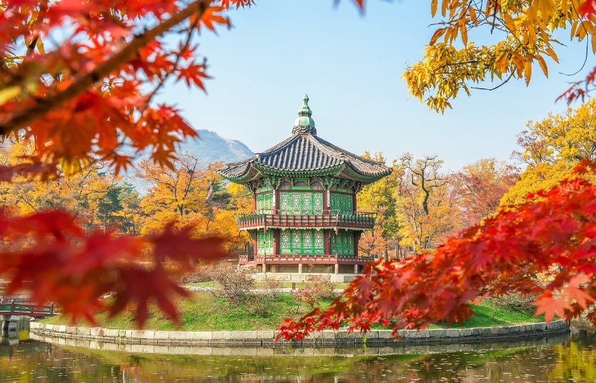 기도문(나라를 위한 기도)