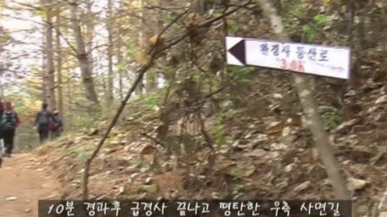 숲길에서 만난 완경사 등산로 방향 표지.