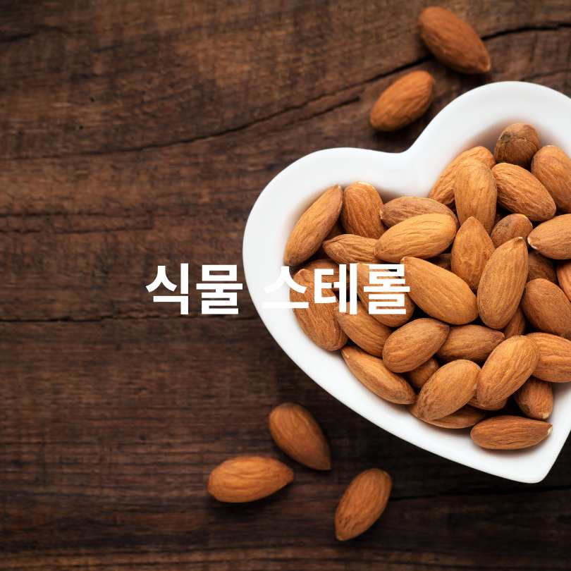 LDL 콜레스테롤 낮추는 음식