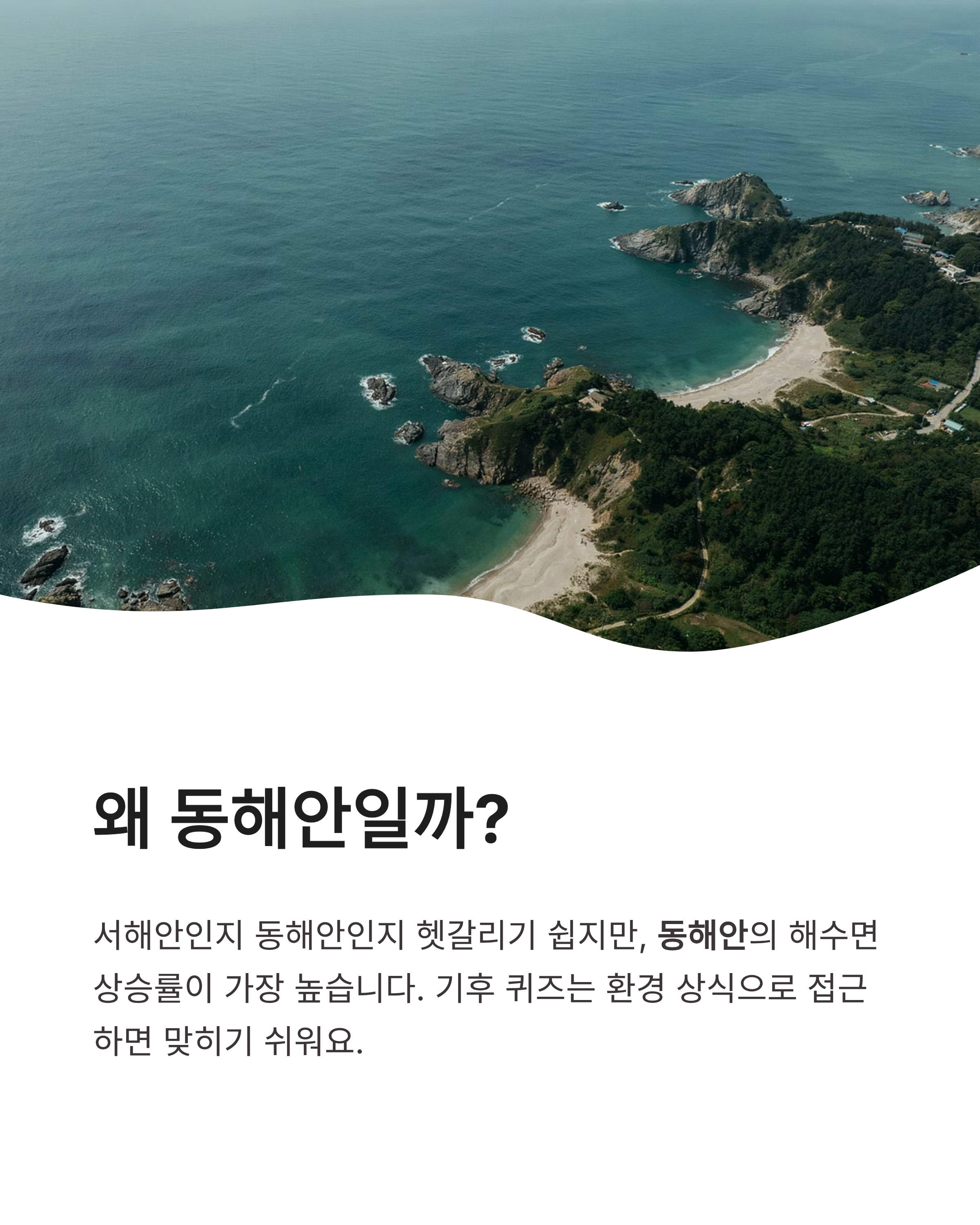 8월 11일 기후동행(기후행동) 퀴즈정답 완벽정리!! 해수면 상승 OX 정답 바로 득템
