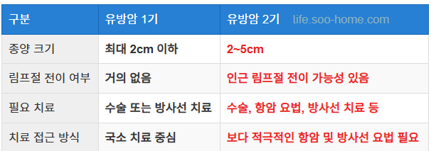 유방암 2기와 초기 암의 차이점