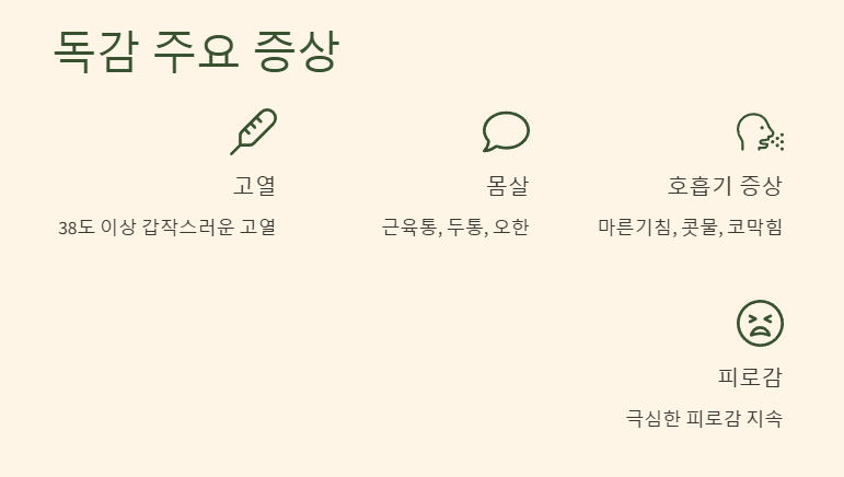독감 주요 증상