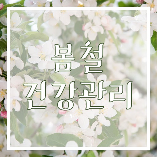 환절기 봄철 건광관리