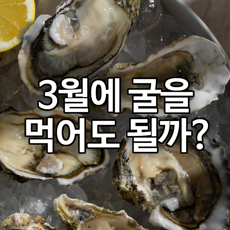 3월에 굴을 먹어도 될까?