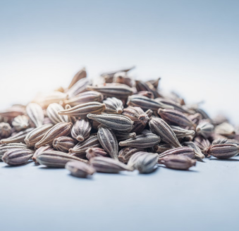 골다공증에 좋은 음식