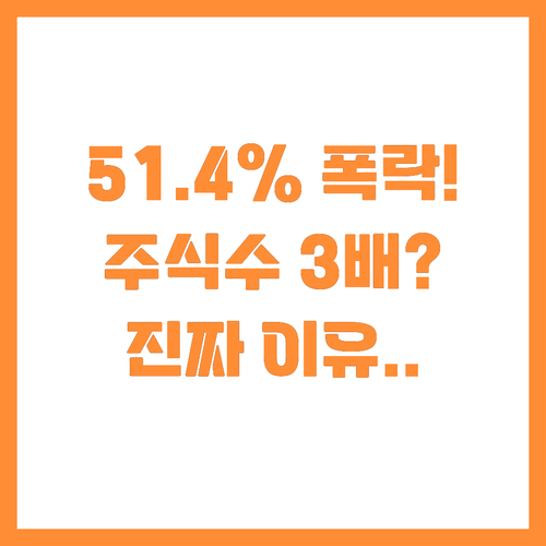 루비코 51.4% 폭락 왜 주식 수가..