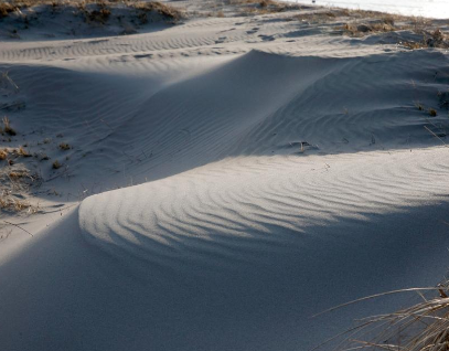 태안팔경-신두사구