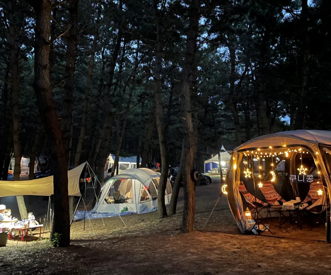 여름-캠핑-필수템-냉장고-vs-아이스박스-어떤게-더-쓸만할까?