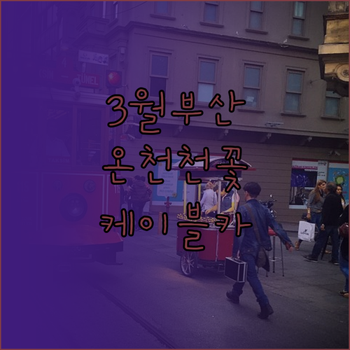 3월 부산 여행 동래구 명소 온천천과..