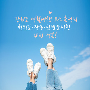 청령포·장릉·한반도지형 완전 정복!