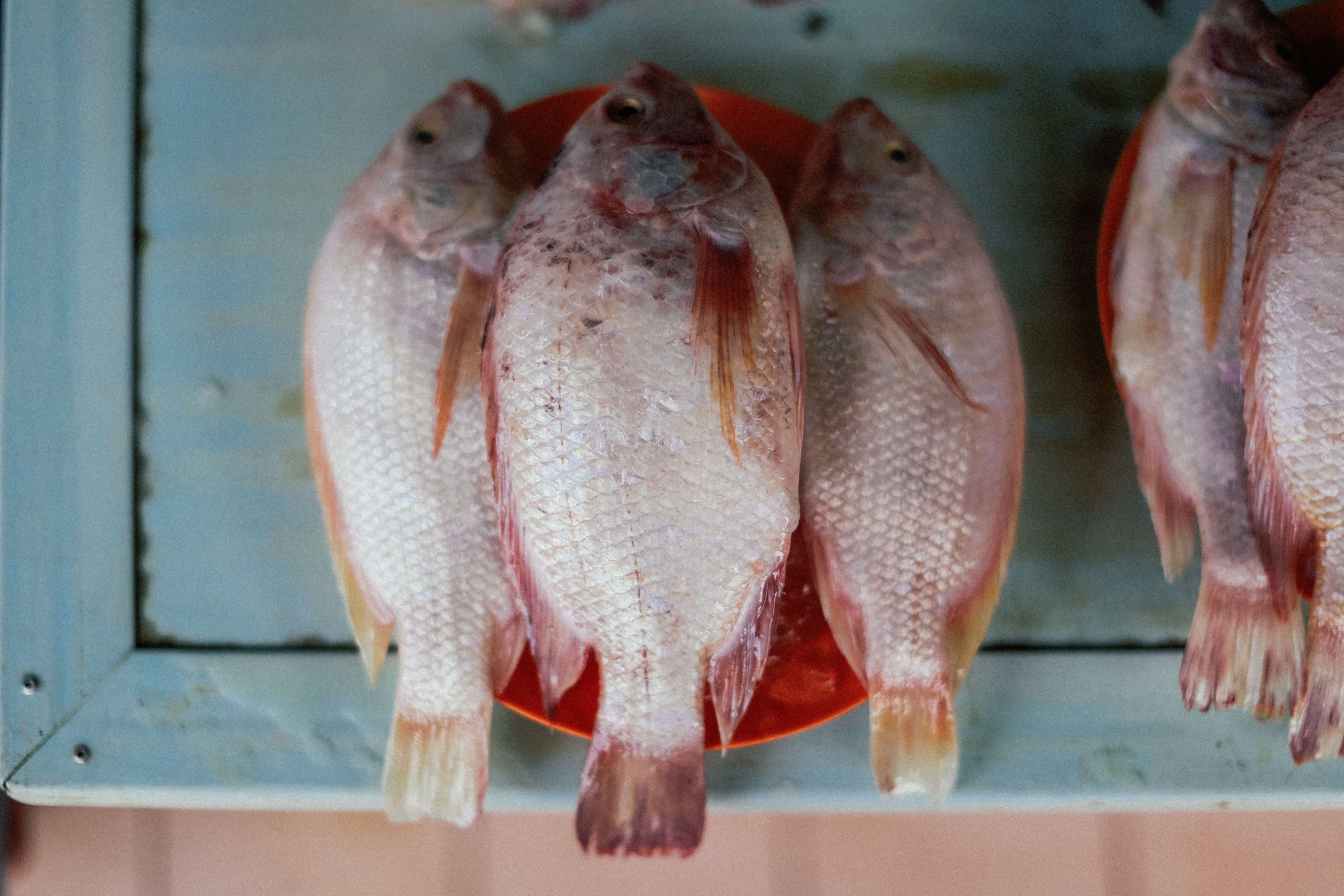 갱년기여성최악의음식좋은음식