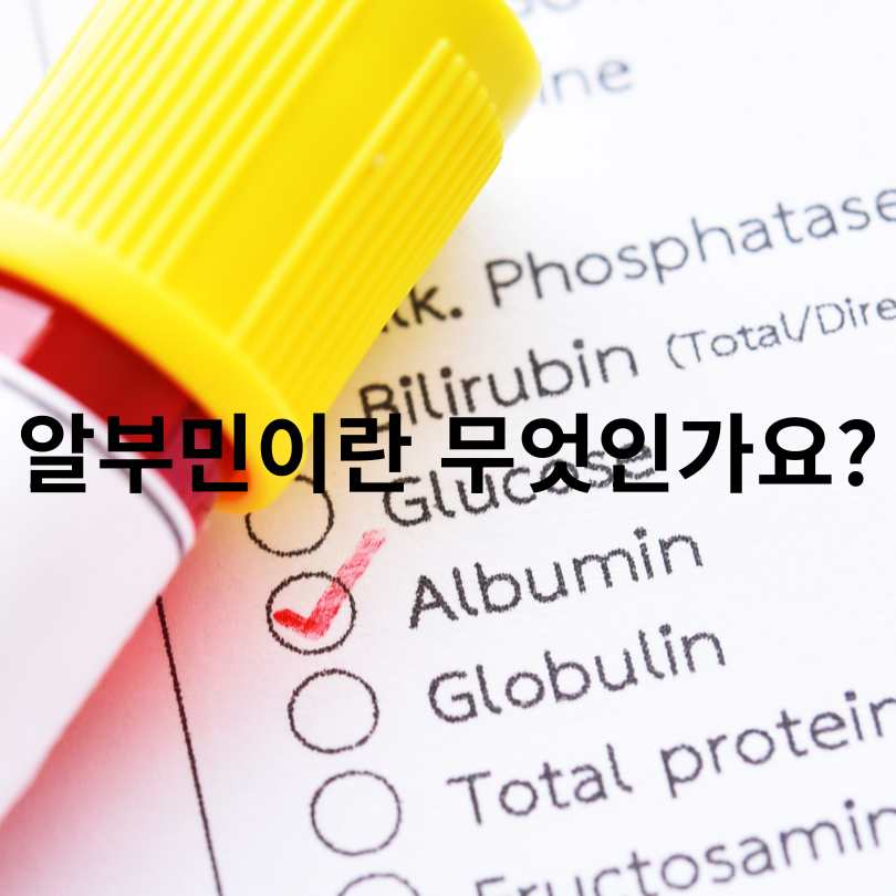 알부민 효능 총정리
