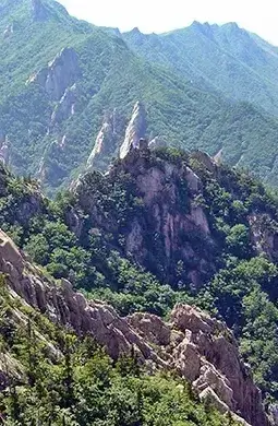 설악산 단풍 시기