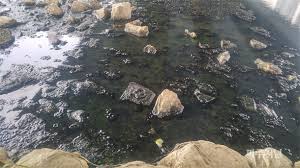 조선시대 파주 역사여행:파주 공릉천 – 조선의 농업과 생태가 공존한 강