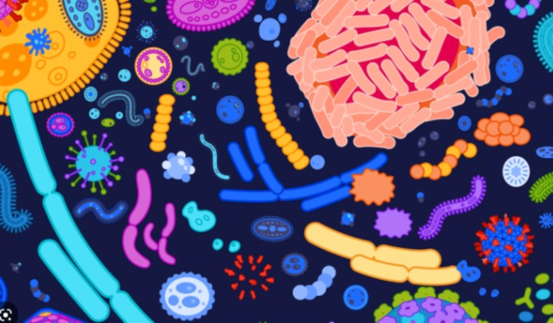 마이크로 바이옴 4000억 규모 범정부 신사업