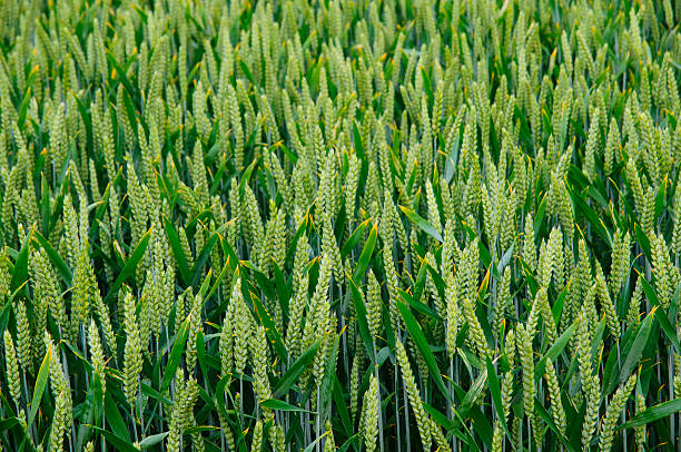 바우처 구매가능 물품안내