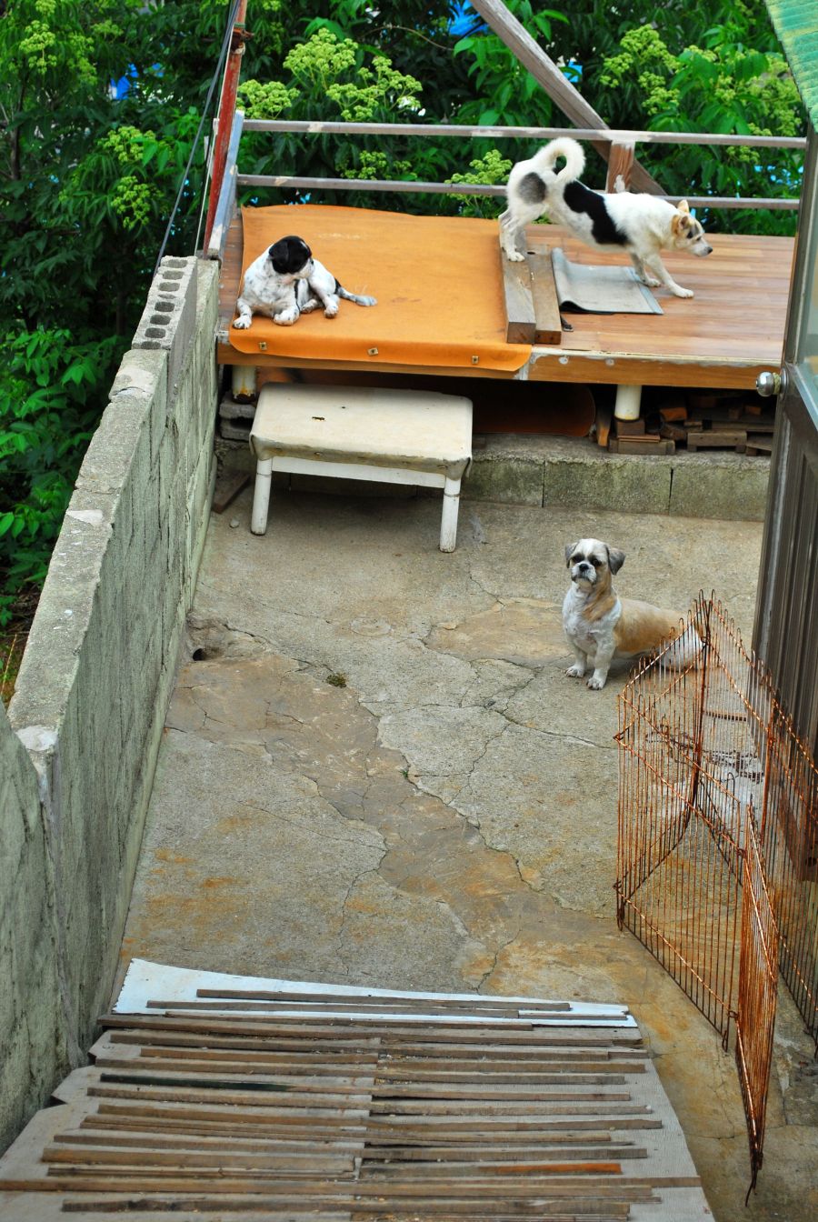 문현동 안동네 벽화마을