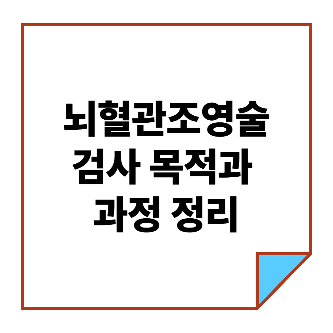 뇌혈관조영술이란? 검사 목적과 과정 정리