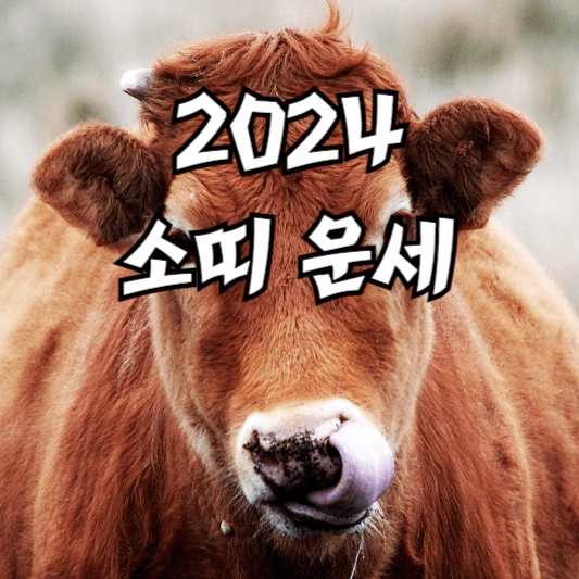 2024년 소띠 운세