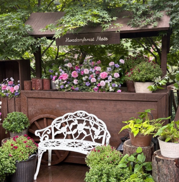 화담숲 주차장 및 셔틀버스 꿀팁 (위치 · 요금 · 시간표 포함)