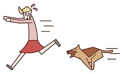 개에게 쫓기는 꿈