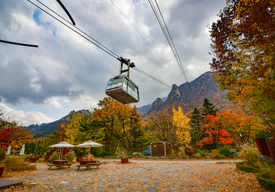 출처 구글이미지 설악산 단풍