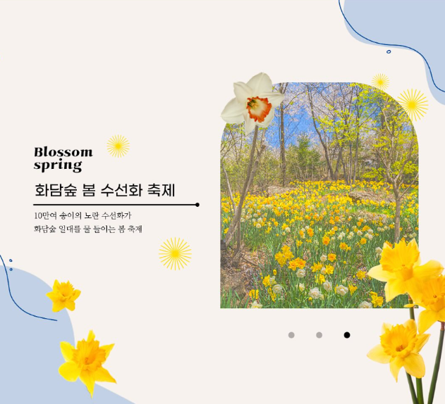 2025 화담숲 수선화축제