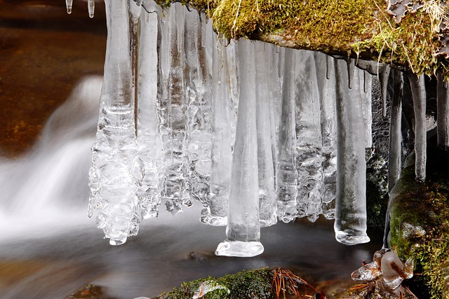 화상 응급처치 방법