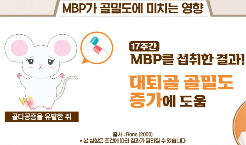 mbp 효능