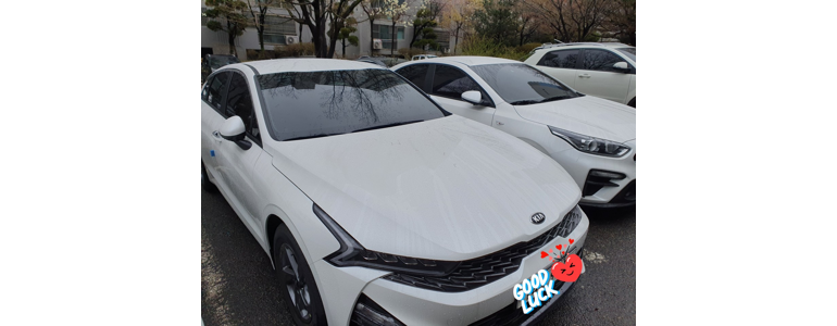 고양 덕양구 렌터카