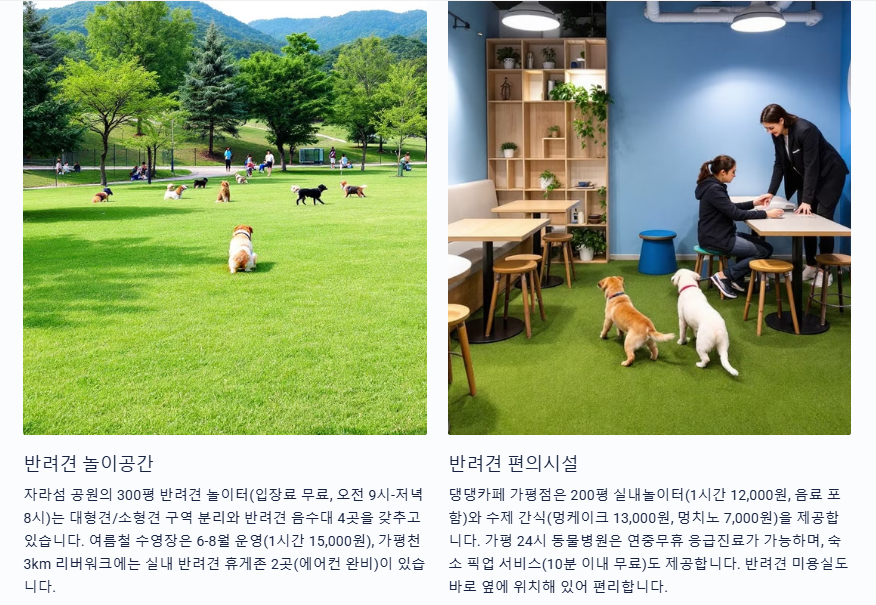 반려견 놀이공간 편의시설